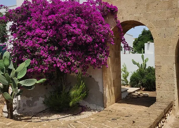 Hotel Masseria Solemare 3*